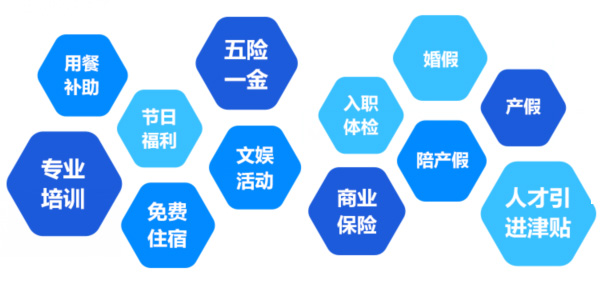 提供全面、系統(tǒng)、專業(yè)的培訓和廣闊的<br>職業(yè)發(fā)展空間和提升機會